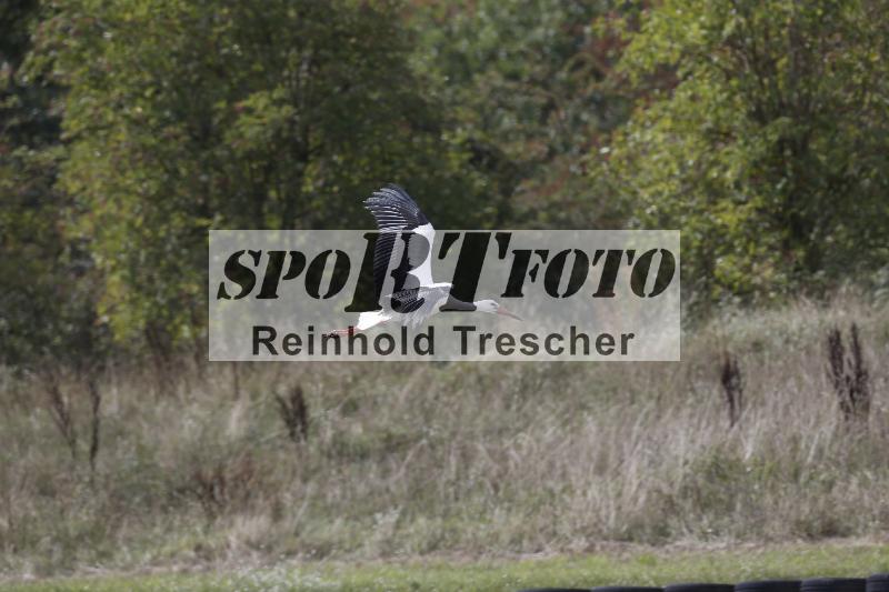 /40 24.08.2026  Cornu Master School ADR/Impressionen